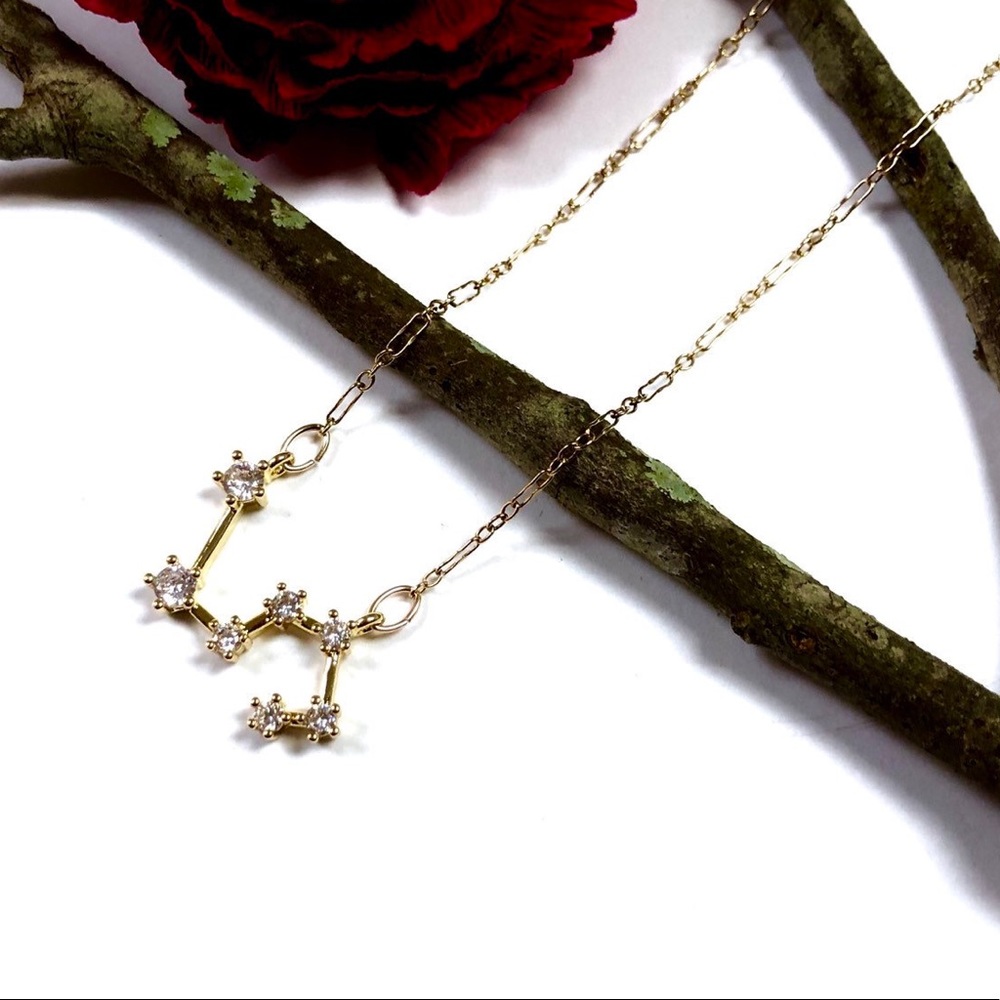 Leo Necklace, Constellation, Zodiac, Astrology